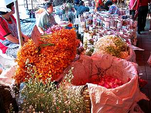 Flowermarket,  Pak Klong Talat