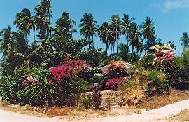 Ko Samui
