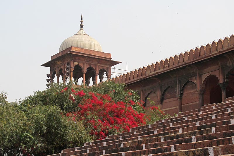 old-delhi, moschee