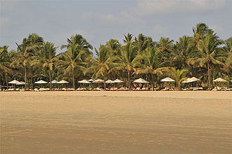 goa