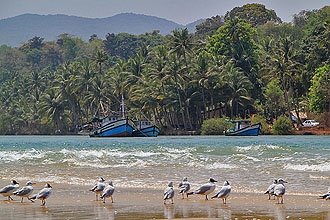 goa morbor beach