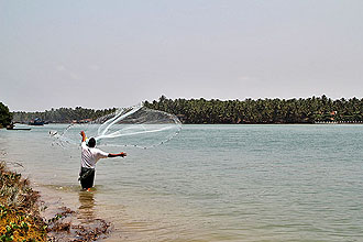 goa morbor beach