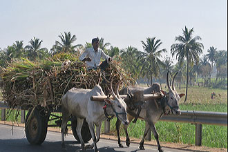 Hampi