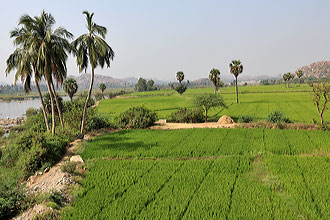 Hampi