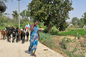 Hampi