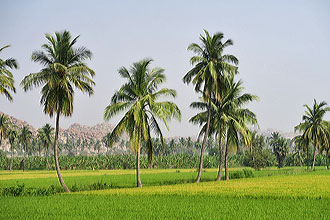 Hampi