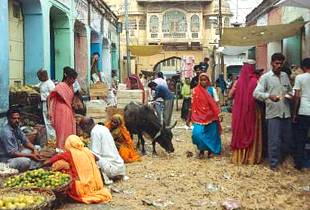 Markt in Jaipur