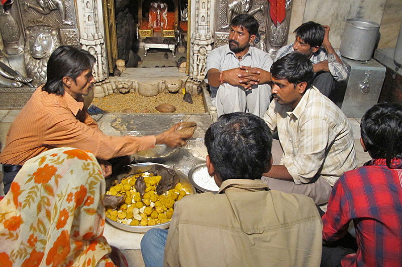 Bikaner, Rattentempel