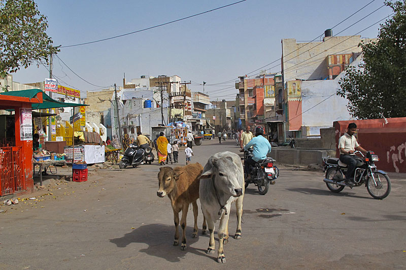 Bikaner