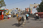 Bikaner