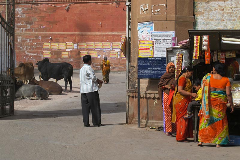 Bikaner