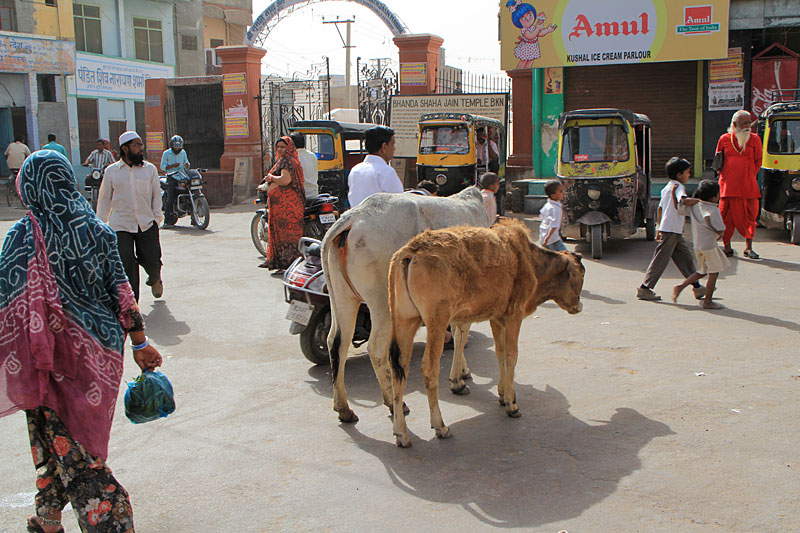 Bikaner