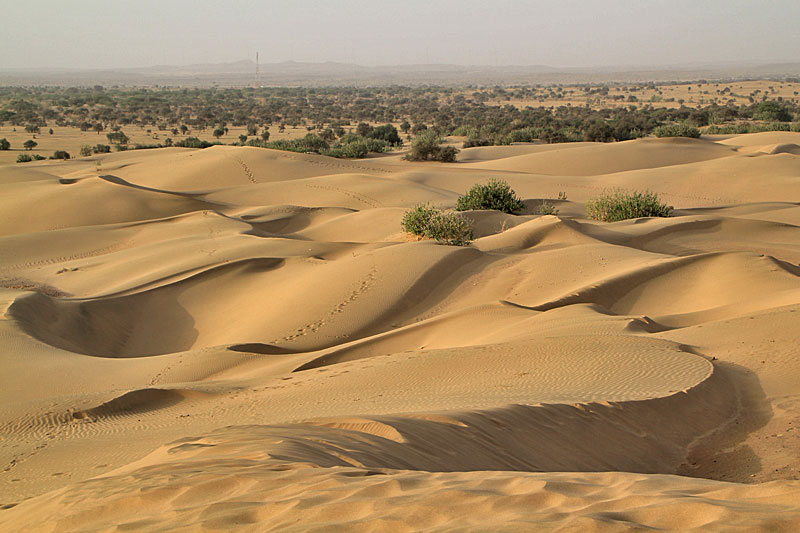 Jaisalmer, Wueste Thar, Sam