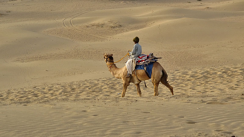 Jaisalmer, Wueste Thar, Sam