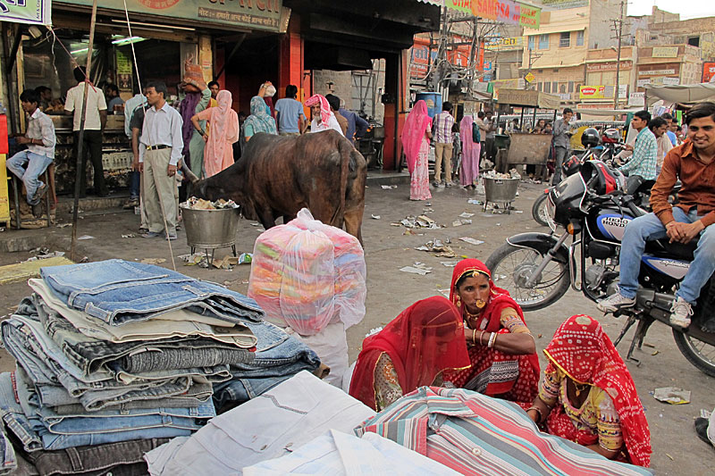 Jodhpur, Altstadt, Sarda Market Cirdikot