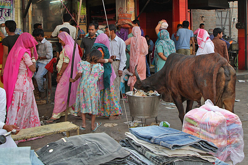 Jodhpur, Altstadt, Sarda Market Cirdikot