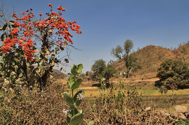 Ranakpur