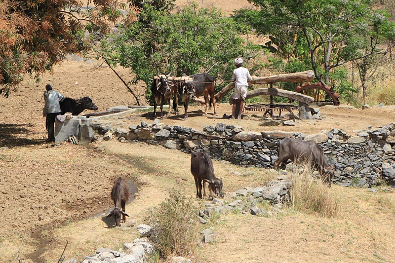 Ranakpur