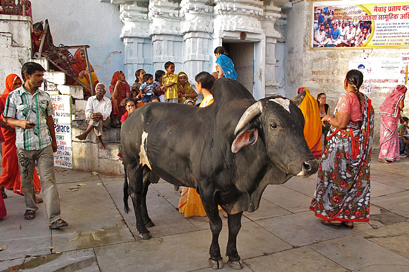 Udaipur, Zeremonie am See