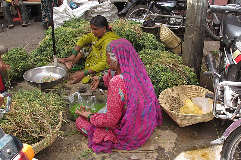 Udaipur, Altstadt