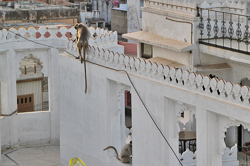 Udaipur, Altstadt