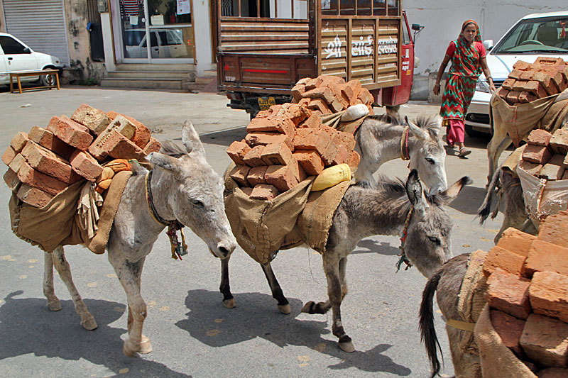 Udaipur, Altstadt