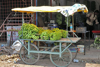 Kochi