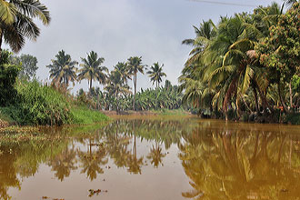 Kumarakom