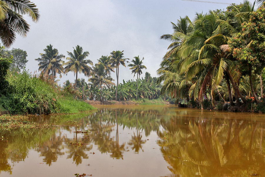 Kumarakom