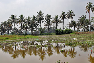 Kumarakom