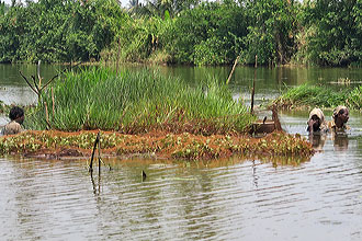 Kumarakom