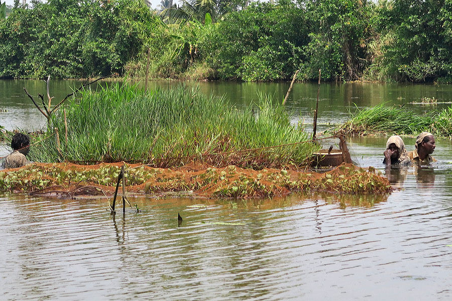 Kumarakom 