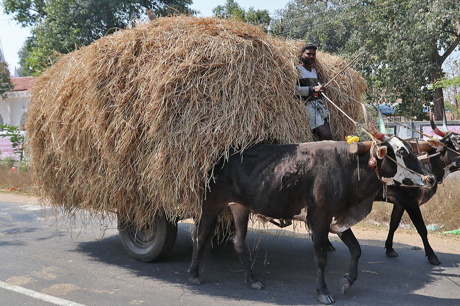 Tanjore