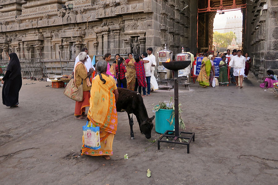 Tiruvannamalai 