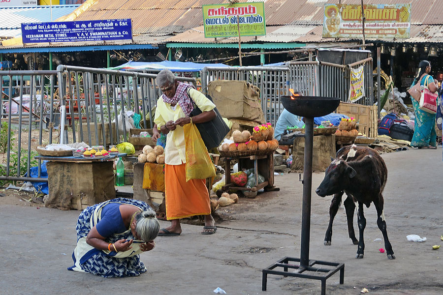 Thiruvannamalai 