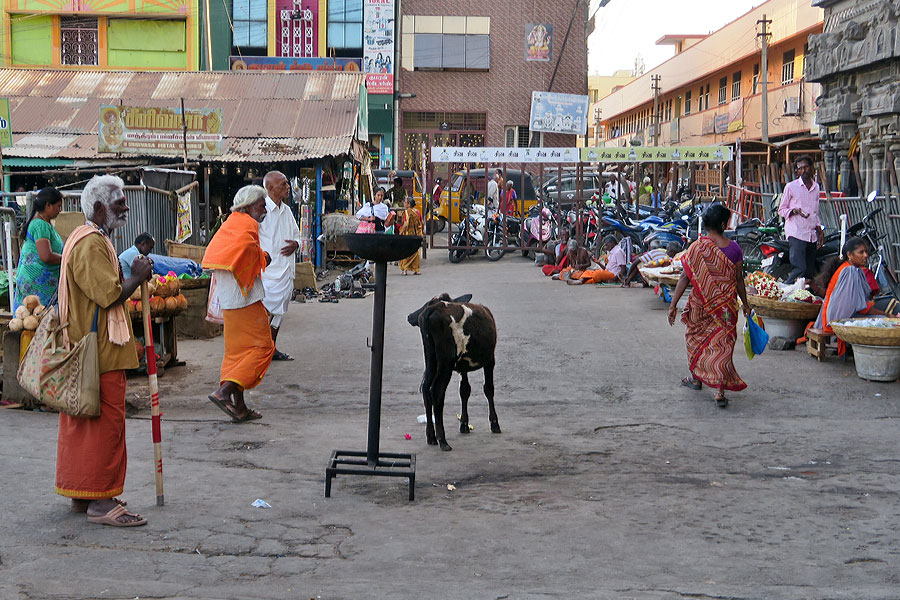 Tiruvannamalai 