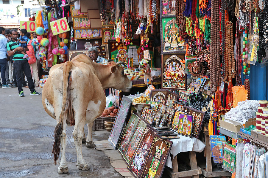 Tiruvannamalai 