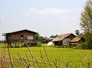 Bauernhaus im Reisfeld mit Satellitenschuessel