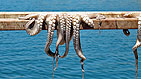 Paros, Click for large image !