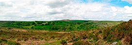 Dartmoor  -  Click for large image !