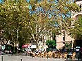 Palma de Mallorca - Click for large image !