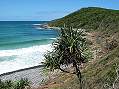 Noosa , National Park -  zum Vergroessern bitte anklicken!