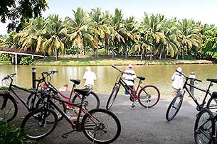 Bangkok Biking - zum Vergroessern bitte anklicken!