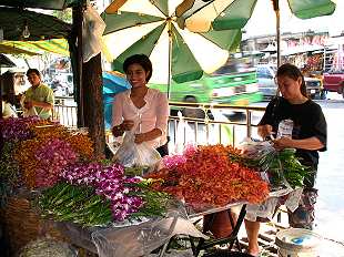 Blumenmarkt / Flowermarket,  Pak Klong Talat