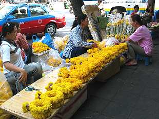 Blumenmarkt / Flowermarket,  Pak Klong Talat