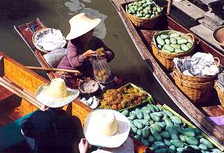 swimming markets of Dammnoen Saduak