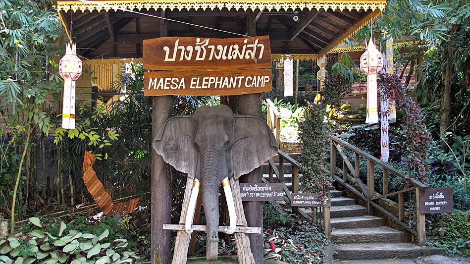 Chiang Mai