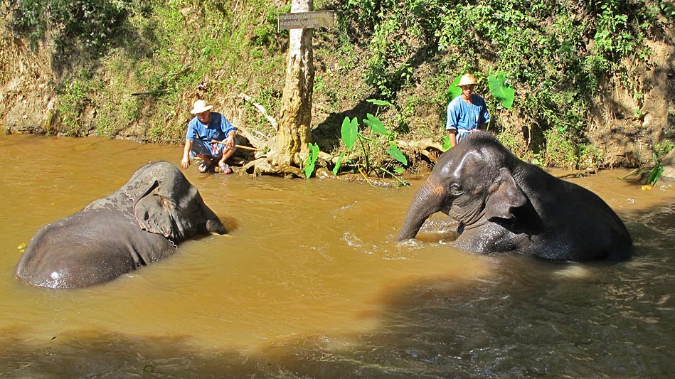 Chiang Mai