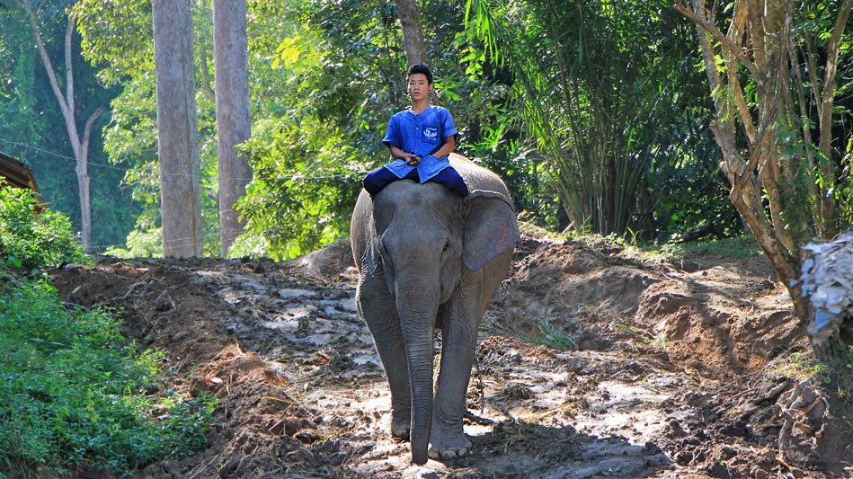 Chiang Mai