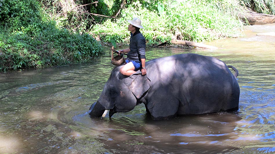 Chiang Mai